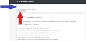 Downloader de vídeo online - baixe qualquer URL de vídeo gratuitamente passo 1