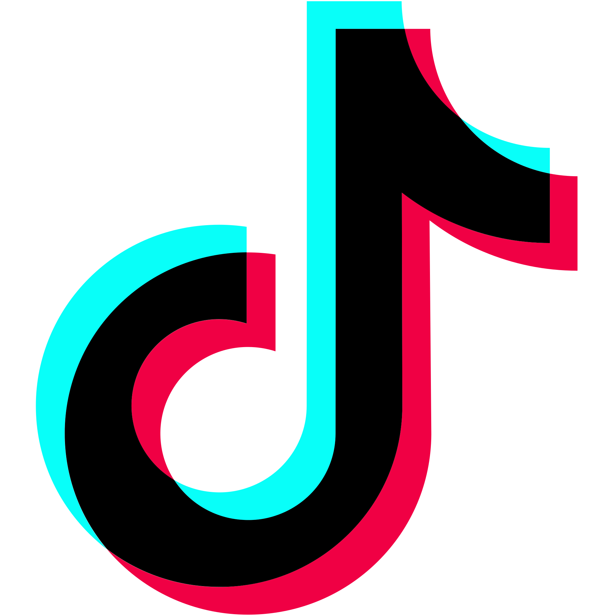 tiktok-video-downloader-download-any-tiktok-video-free